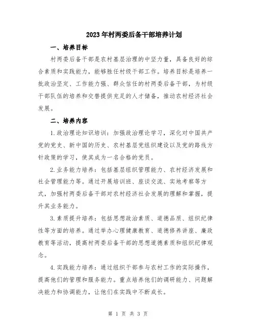 2023年村两委后备干部培养计划