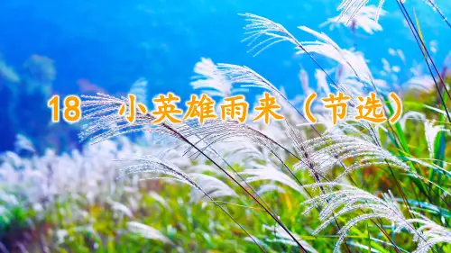 部编新人教版小学四年级下册语文《小英雄雨来(节选)》优质课件(第二课时)