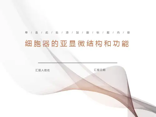 细胞器的亚显微结构和功能