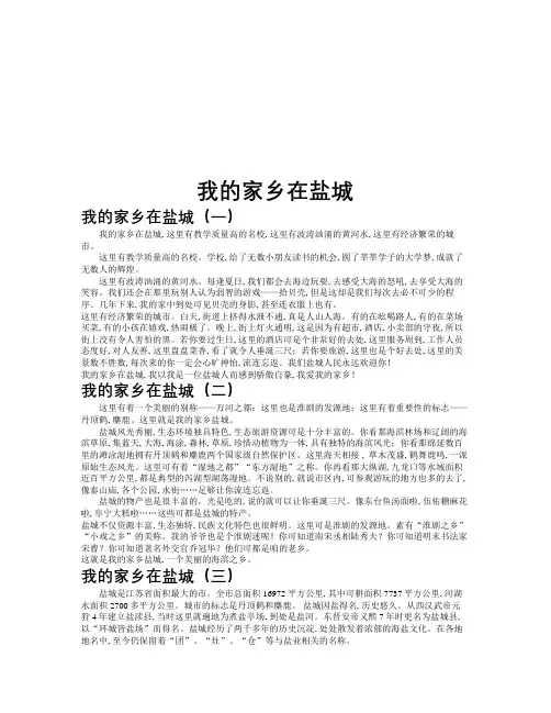 我的家乡在盐城作文共九篇