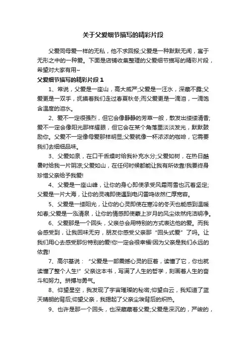 关于父爱细节描写的精彩片段