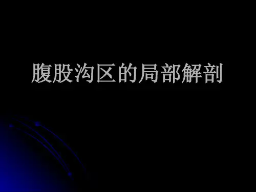 局部解剖学：腹股沟区的局部解剖8374903