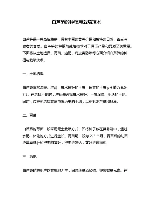 白芦笋的种植与栽培技术