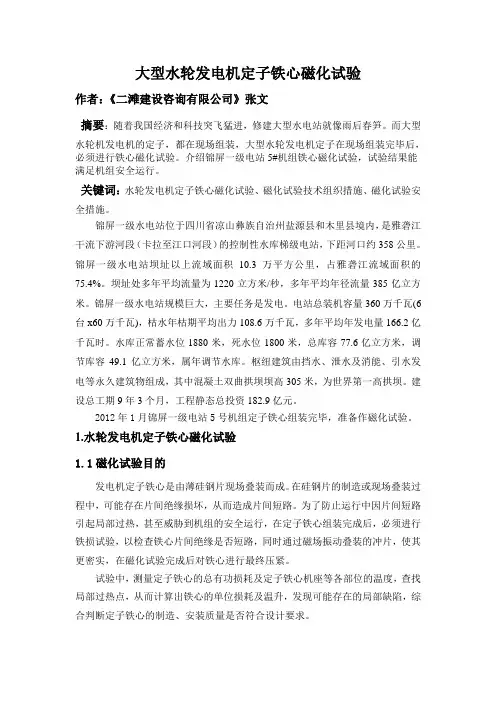 大型水轮发电机定子铁心磁化试验