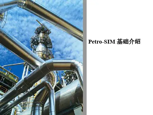 PetroSIM入门
