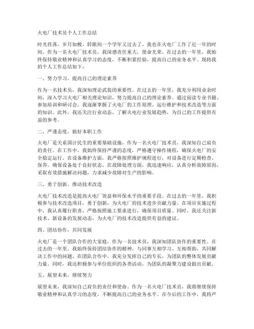 火电厂技术员个人工作总结