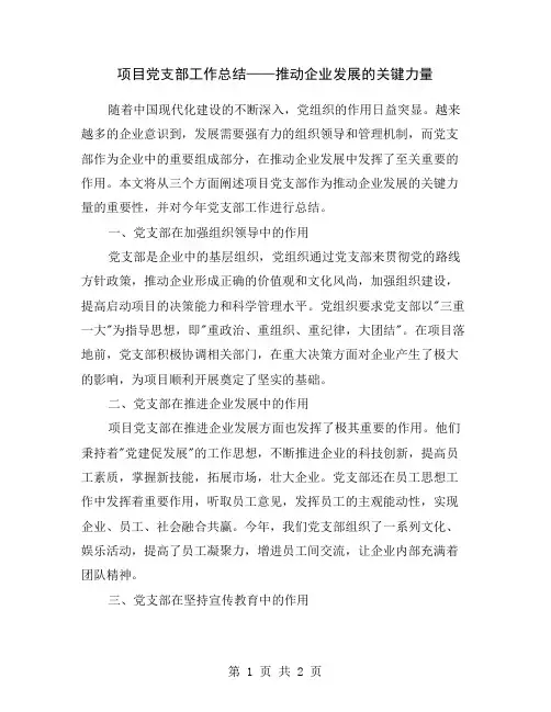 项目党支部工作总结——推动企业发展的关键力量