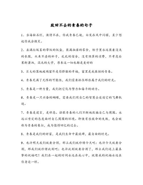 致回不去的青春的句子