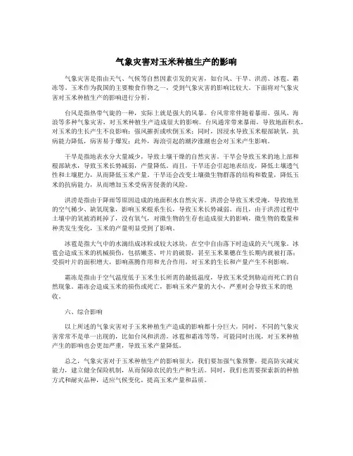 气象灾害对玉米种植生产的影响