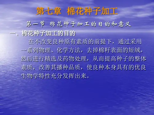 棉花种子加工方案