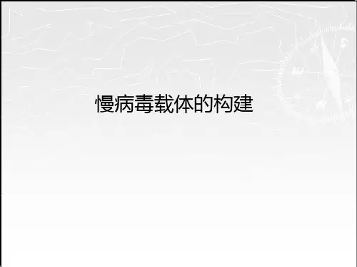 慢病毒载体的构建