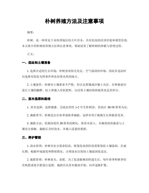 朴树养殖方法及注意事项