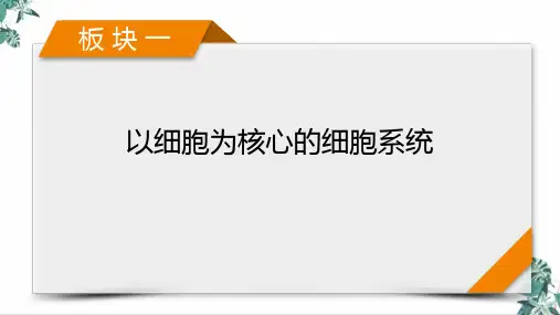 人教版教材高中生物《细胞的生命历程》PPT