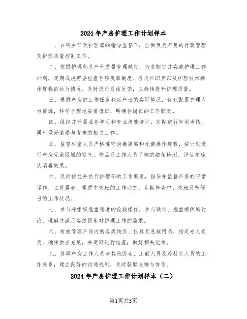 2024年产房护理工作计划样本（三篇）