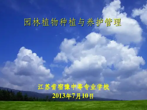 园林植物种植及养护管理ppt课件