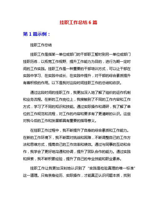 挂职工作总结6篇