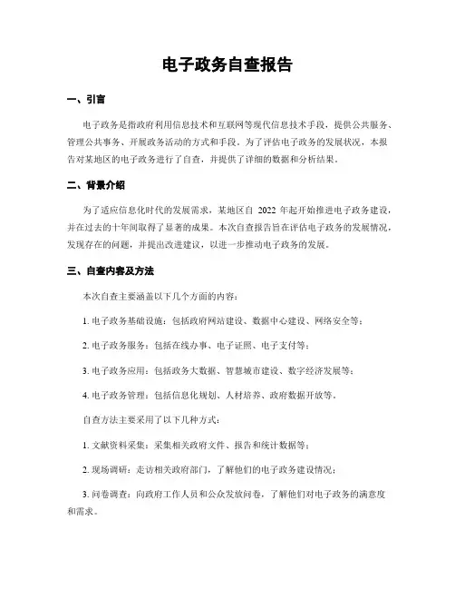 电子政务自查报告