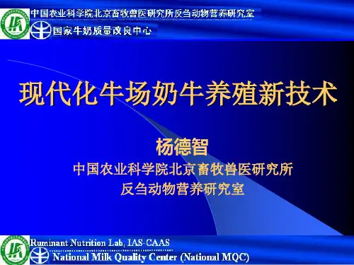 现代化奶牛场奶牛养殖新技术