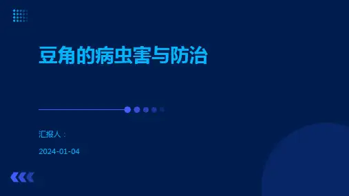 豆角的病虫害与防治