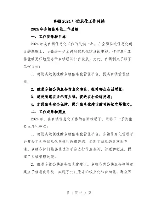 乡镇2024年信息化工作总结