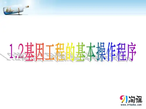 原创12：1.2 基因工程的基本操作程序