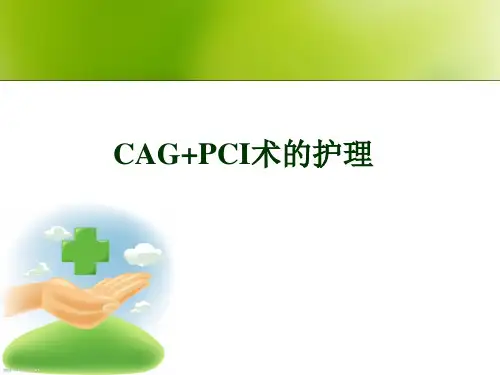 CAG+PCI术的护理ppt