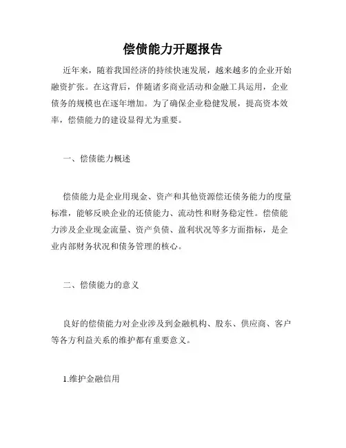 偿债能力开题报告
