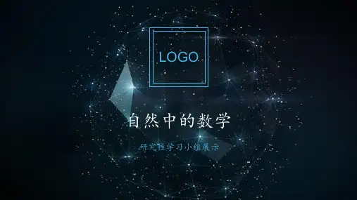研究性学习PPT