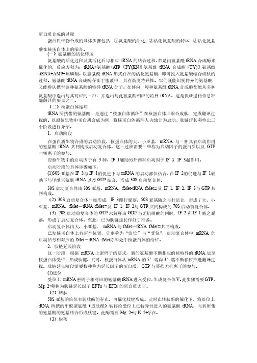 原核生物蛋白质合成的过程