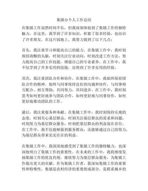 集镇办个人工作总结
