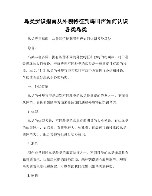鸟类辨识指南从外貌特征到鸣叫声如何认识各类鸟类
