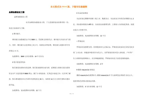 品牌加盟创业项目