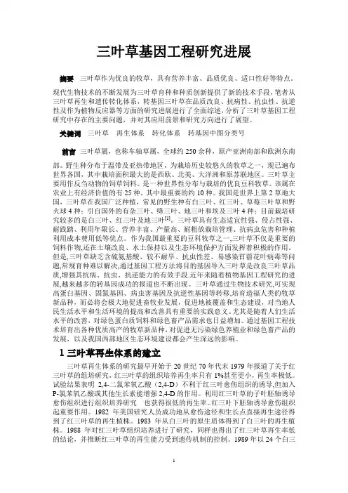 三叶草基因工程研究进展
