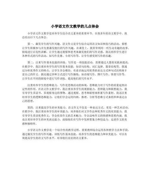 小学语文作文教学的几点体会