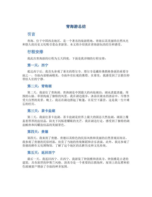 青海游总结