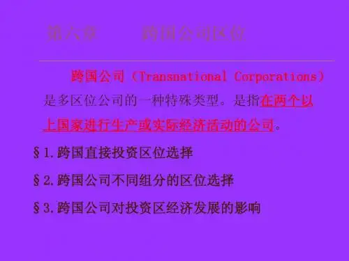 第六章_跨国公司区位(讲课)