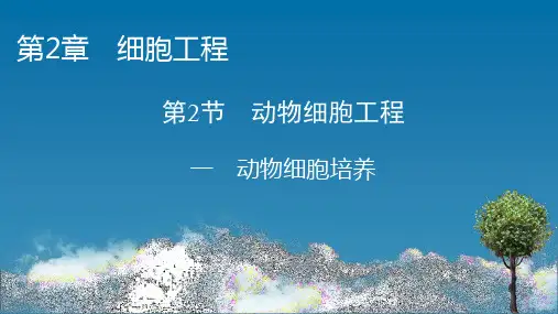 人教版高中生物选择性必修第3册 第2章 第2节 1 动物细胞培养