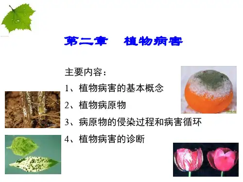 植物保护学通论——植物病害