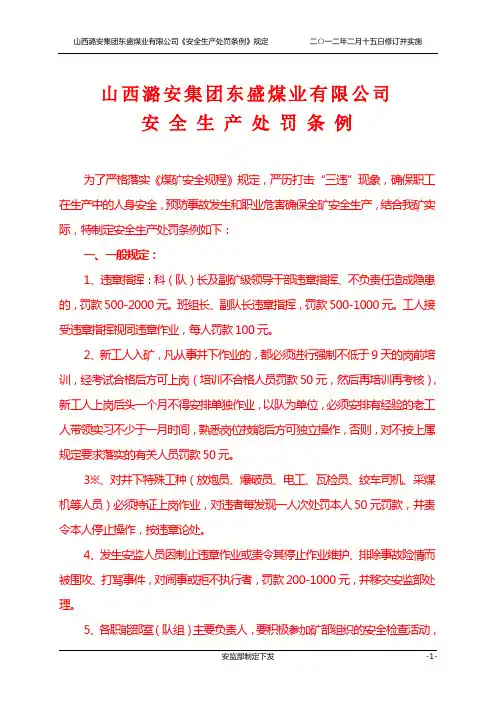 山西潞安集团东盛煤业有限公司安全生产处罚条例