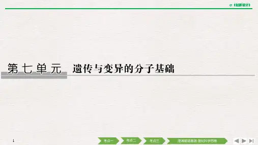 高考总复习 生物 (中图版) (21)[60页]