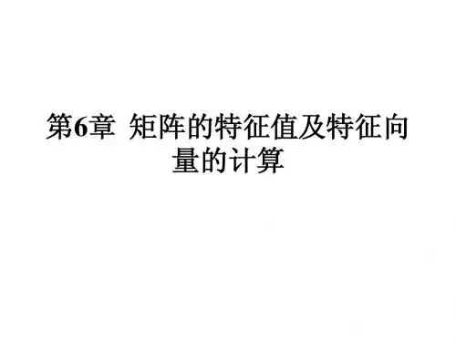 第6章矩阵的特征值及特征向量的计算