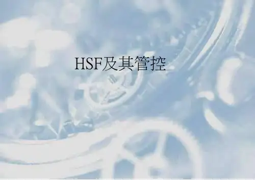 HSF及其管控ppt课件