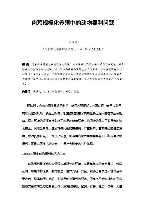 肉鸡规模化养殖中的动物福利问题-毕业设计论文
