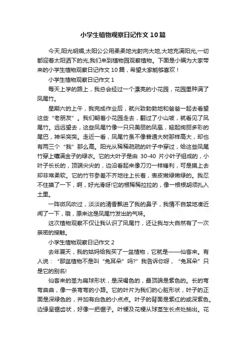 小学生植物观察日记作文10篇