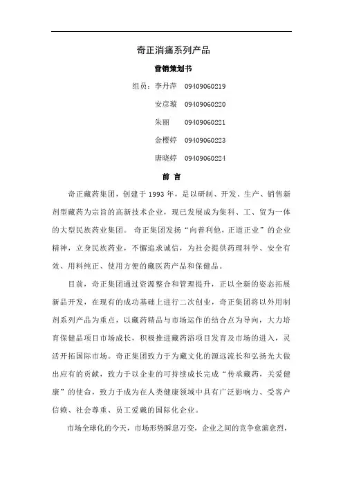奇正营销策划方案精品文档25页