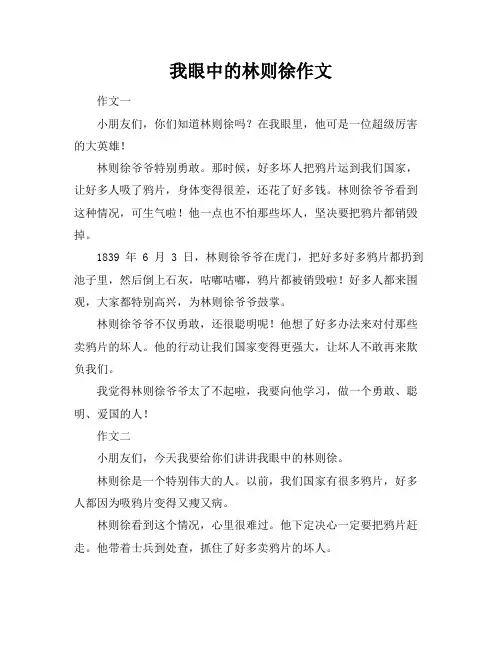 我眼中的林则徐作文