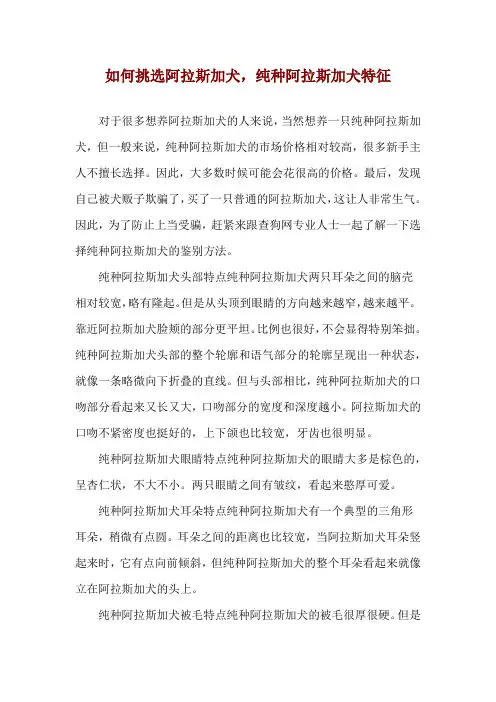 如何挑选阿拉斯加犬,纯种阿拉斯加犬特征