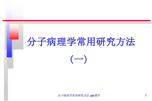 分子病理学常用研究方法 ppt课件
