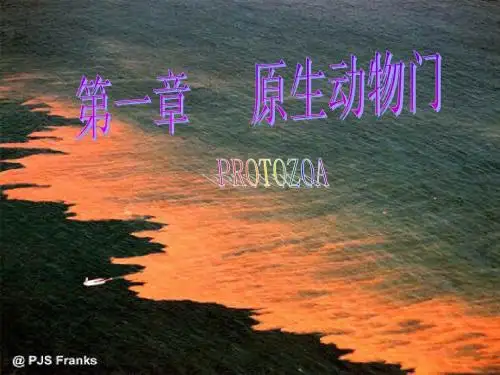 第一章 原生动物门