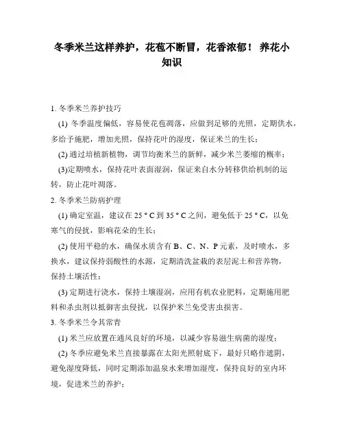 冬季米兰这样养护,花苞不断冒,花香浓郁! 养花小知识